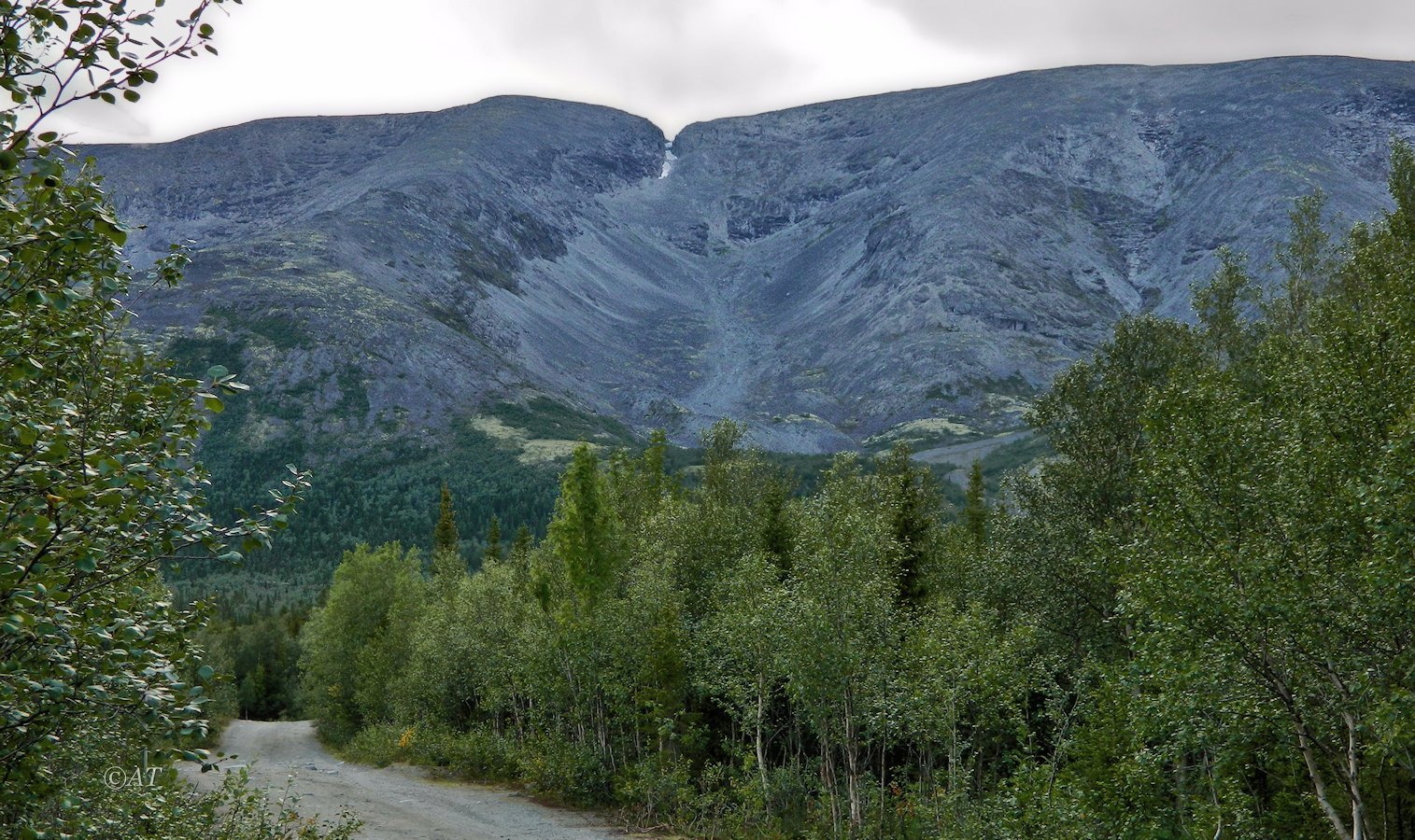 Перевал Северный Чорргор, image of landscape/habitat.