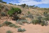Image of landscape