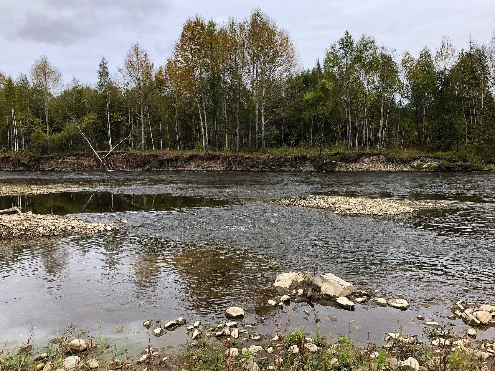 Комсомольск и окрестности, image of landscape/habitat.