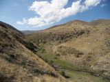 Image of landscape
