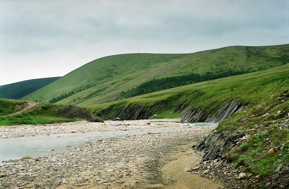 Ручей Южный, image of landscape/habitat.