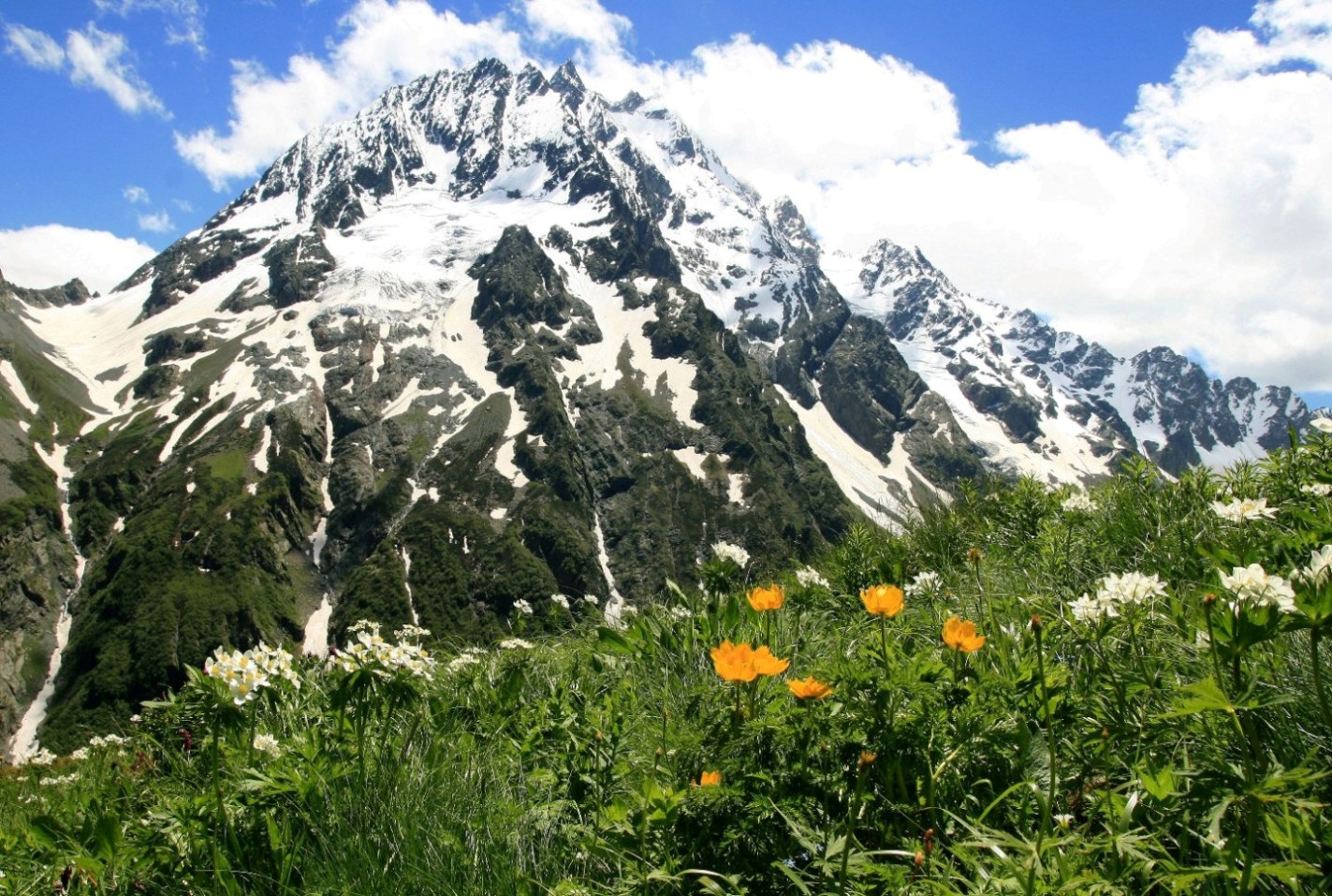 Архыз. Долина реки Псыш, image of landscape/habitat.