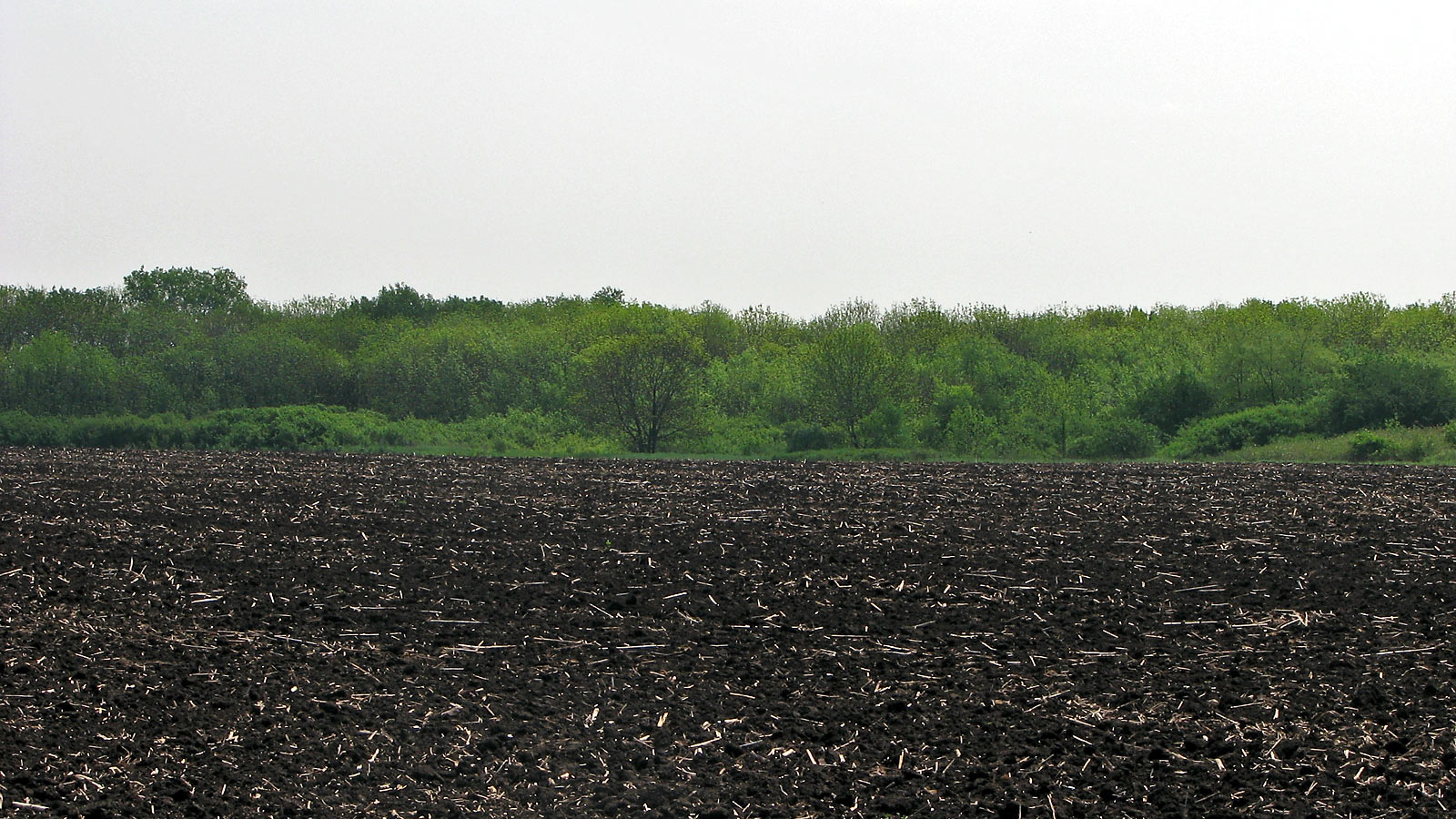 Карловка, image of landscape/habitat.