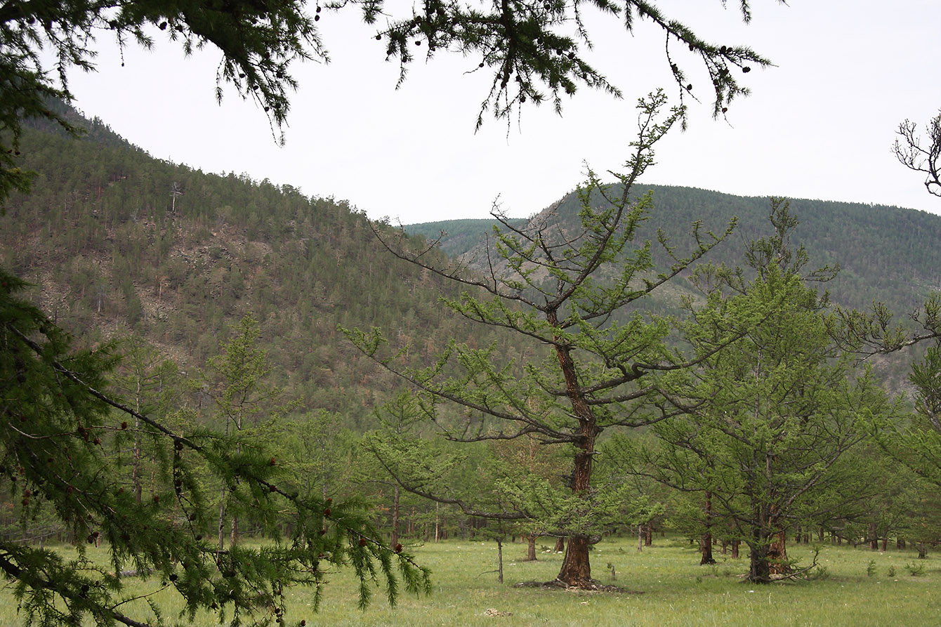 Улан-Хан, image of landscape/habitat.