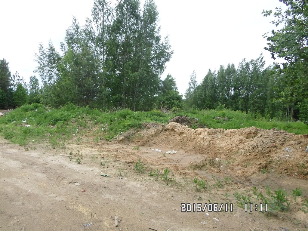 Чамеровская свалка, image of landscape/habitat.