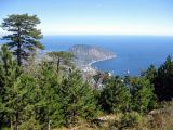 Image of landscape