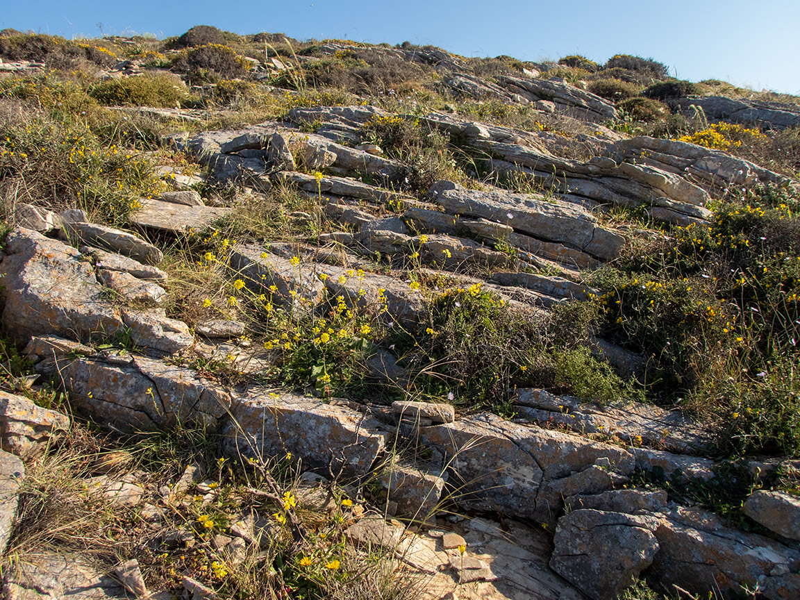 Остров Сирос, image of landscape/habitat.