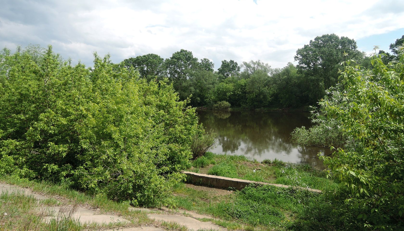 Орехово-Зуево и окрестности, image of landscape/habitat.