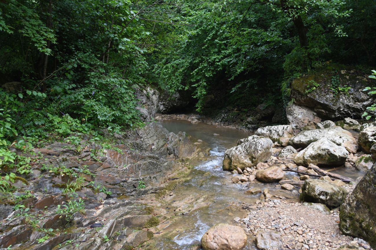 Водопад Шум, image of landscape/habitat.