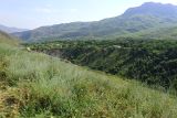 Image of landscape