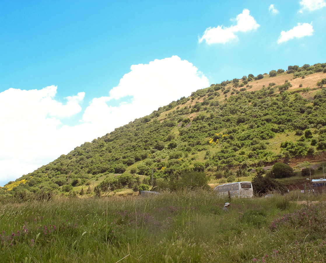 Гора Бенталь, image of landscape/habitat.