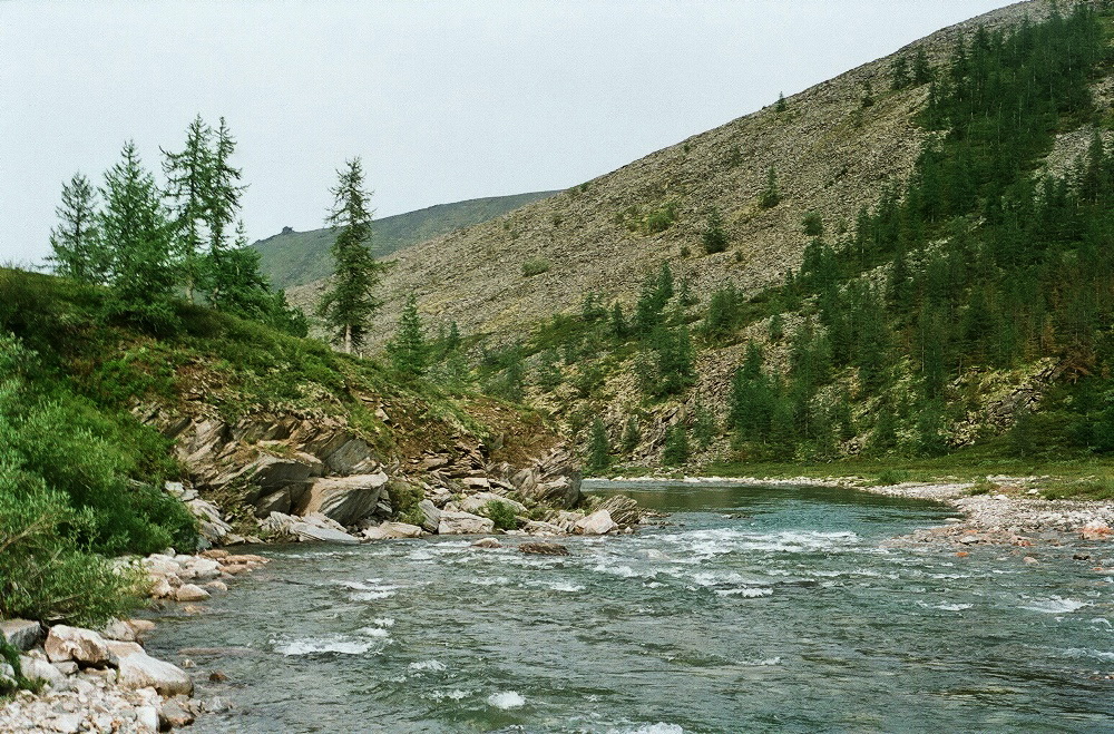 Ручей Южный, image of landscape/habitat.