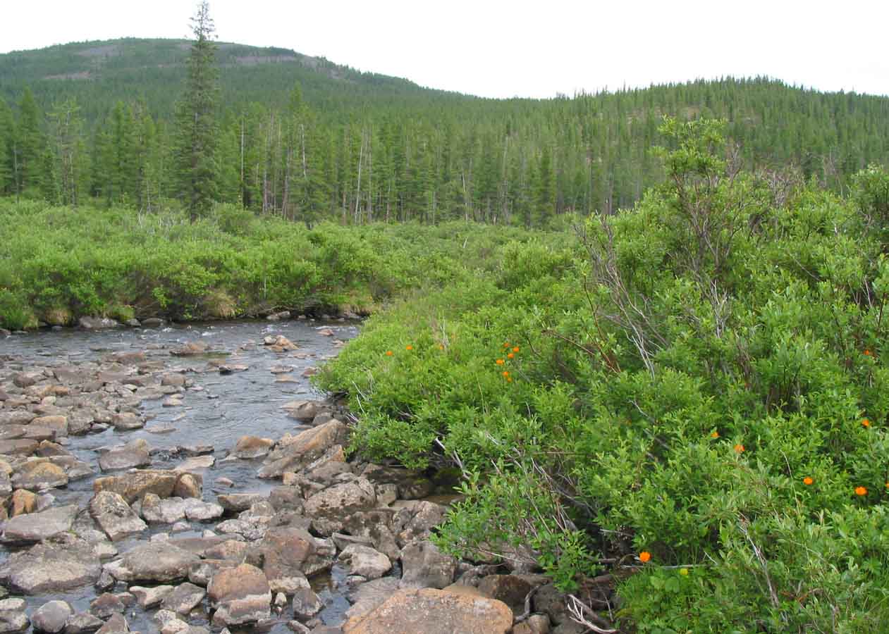 Сохондо, image of landscape/habitat.