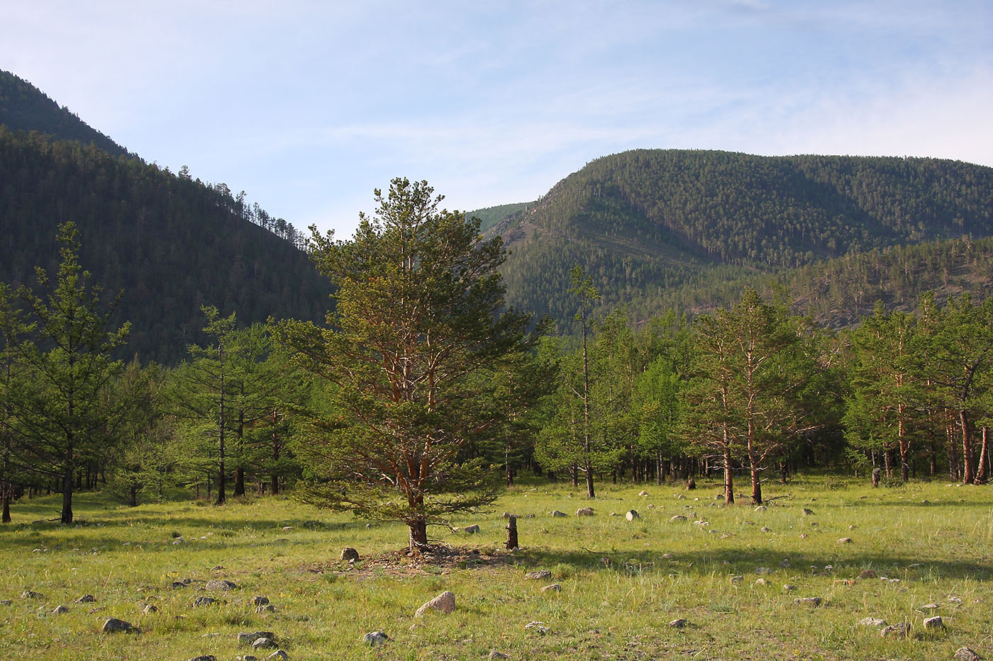 Улан-Хан, image of landscape/habitat.