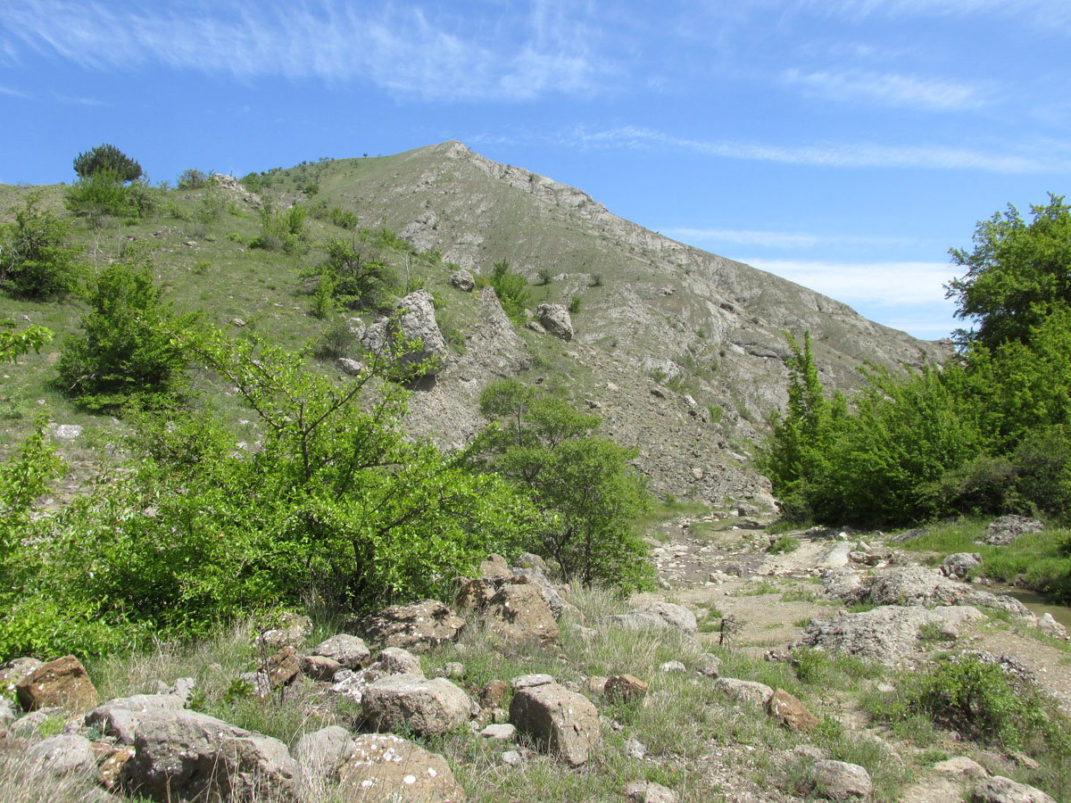 Ущелье реки Пананьян-Узень, image of landscape/habitat.