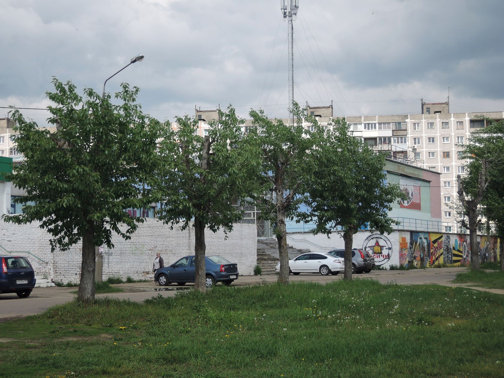 Орехово-Зуево и окрестности, image of landscape/habitat.