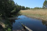 Окрестности деревни Выбье, image of landscape/habitat.