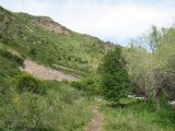Коксай (нижний пояс), image of landscape/habitat.