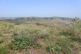 Image of landscape