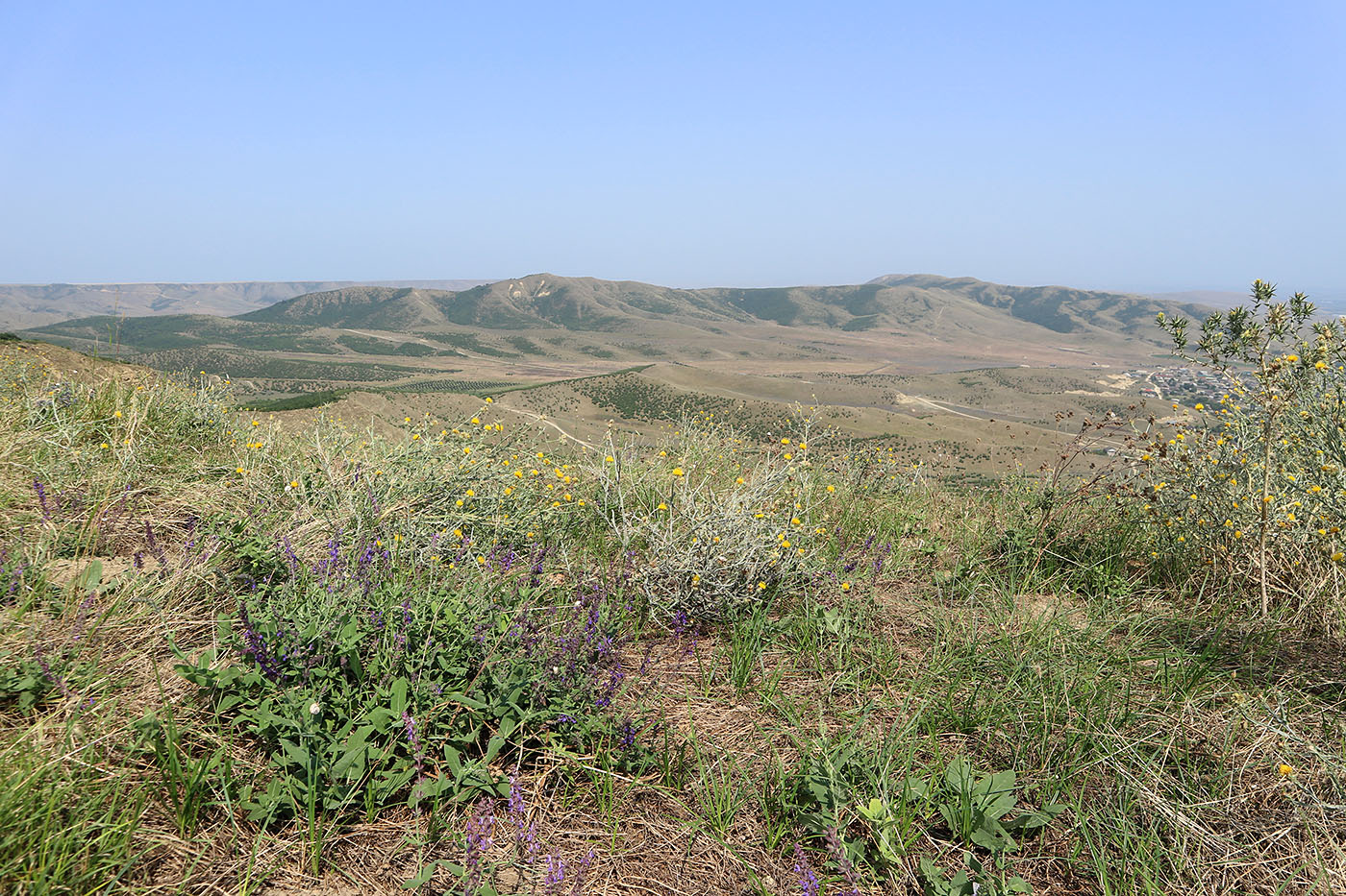 Джавандаг, image of landscape/habitat.