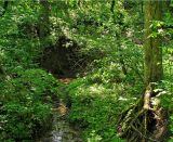 Image of landscape