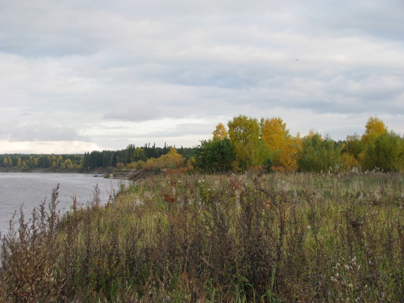 Алёшино, image of landscape/habitat.