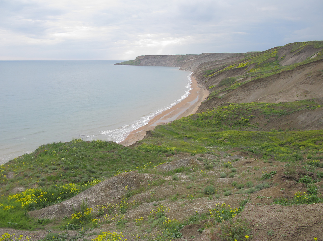 Железный Рог, image of landscape/habitat.