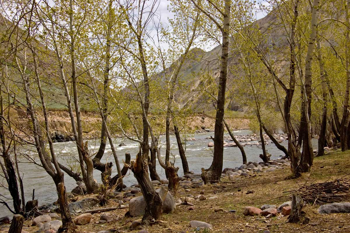 Окрестности села Кызыл-Ой, image of landscape/habitat.