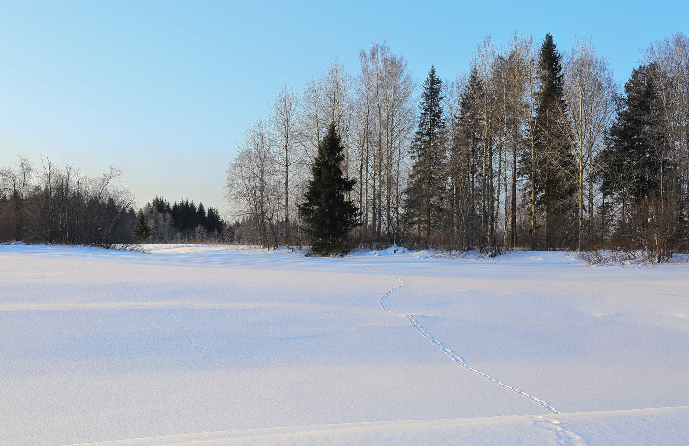 Низовья и устье Полуденной, image of landscape/habitat.