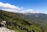 Ай-Илья-Сырым, image of landscape/habitat.