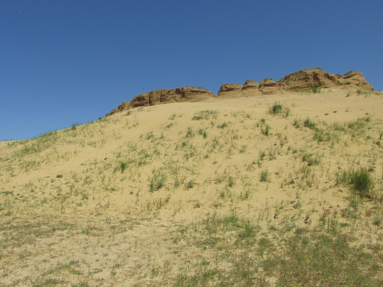 Окрестности села Коркмаскала, image of landscape/habitat.