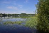 Image of landscape