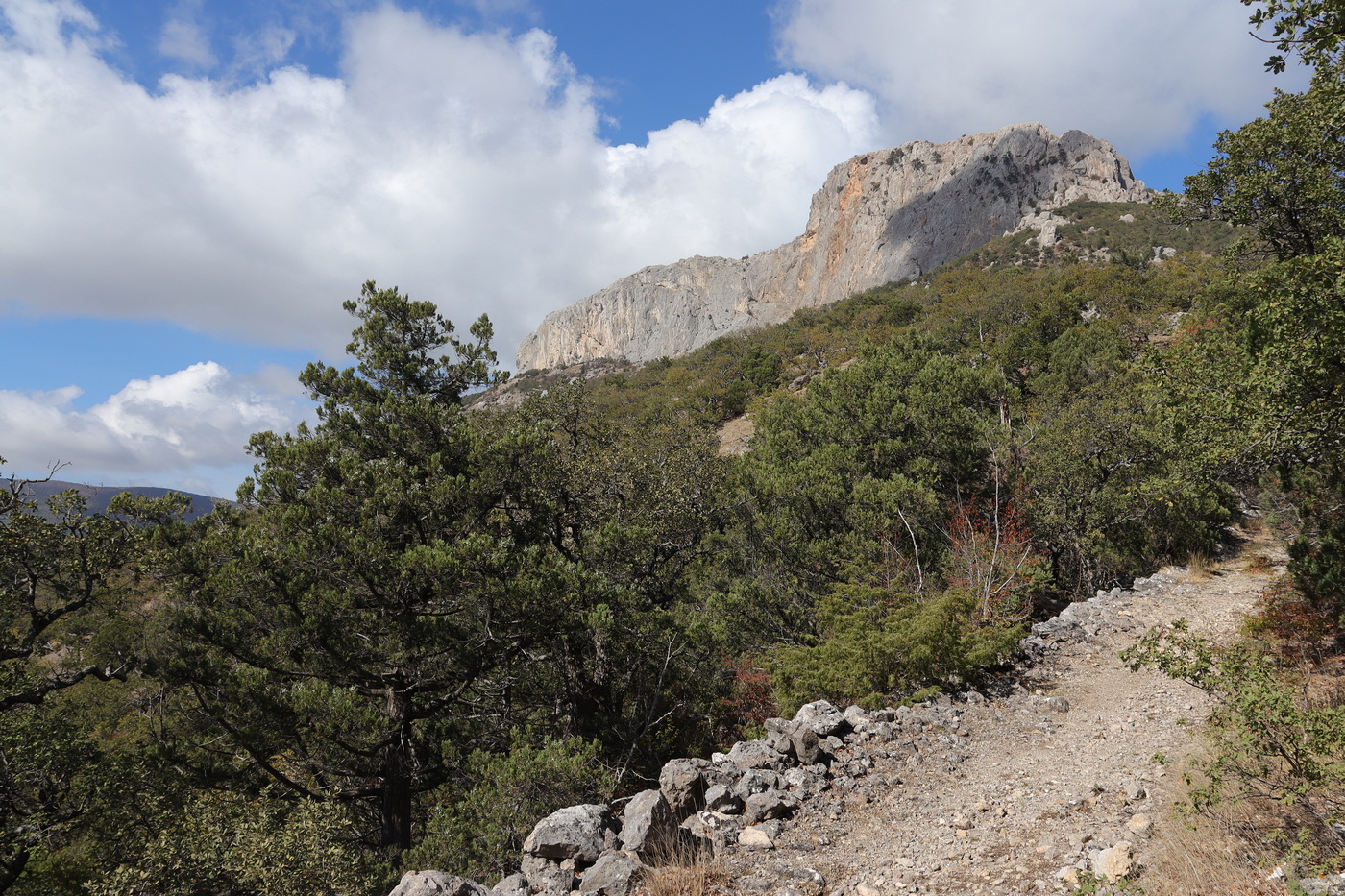 Байдарская Яйла, image of landscape/habitat.