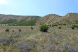 Image of landscape