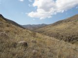 Зуванд, image of landscape/habitat.