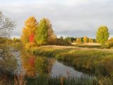 Алёшино, image of landscape/habitat.