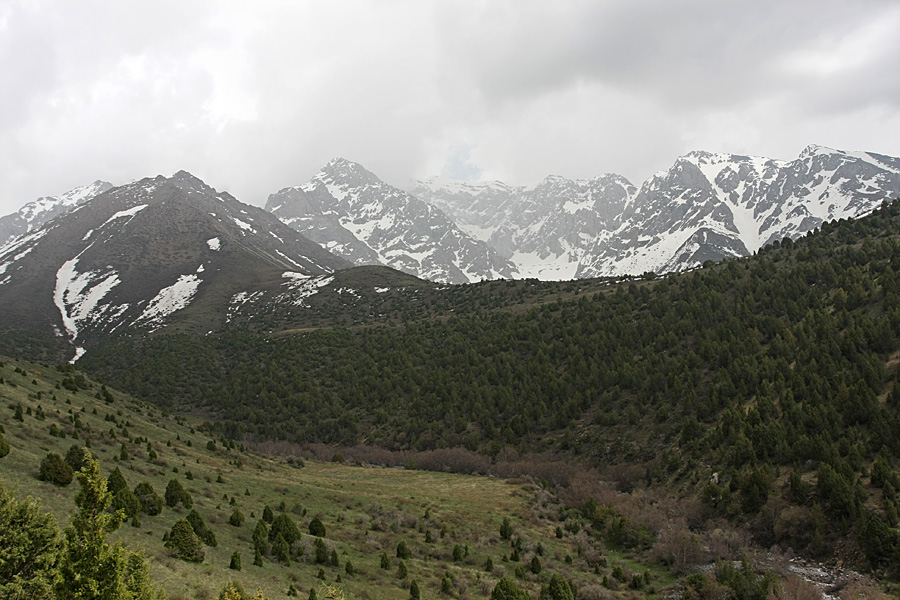 Сазаната, image of landscape/habitat.