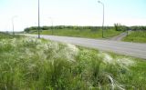 Луганск, image of landscape/habitat.