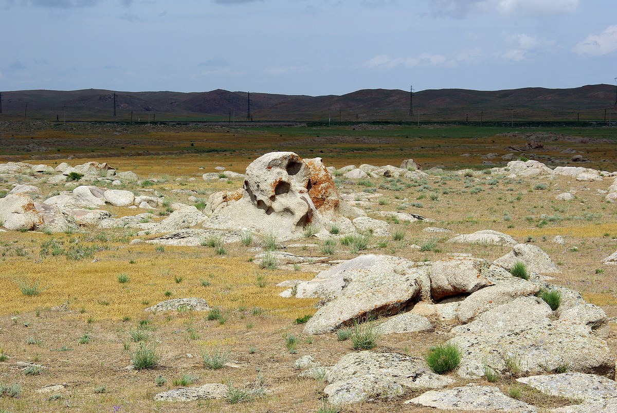 Коктал, image of landscape/habitat.