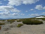 Image of landscape
