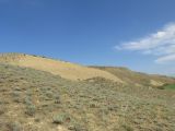 Image of landscape