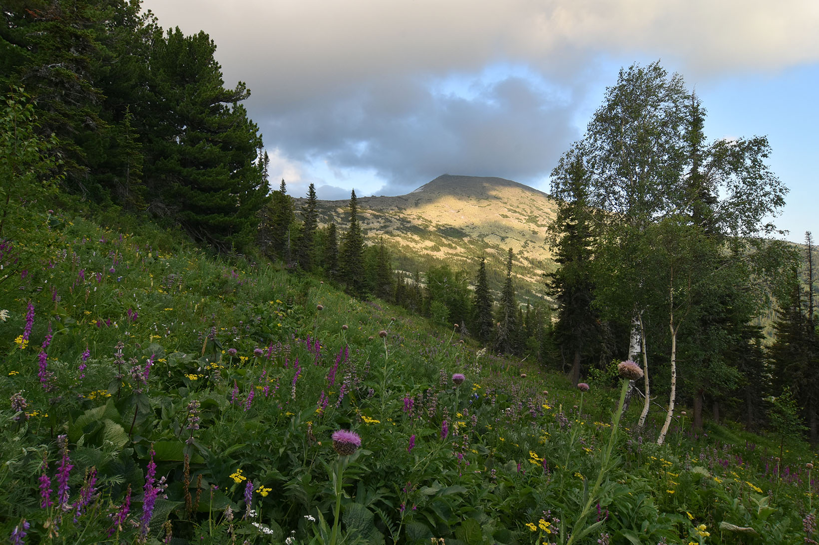 Верховья реки Иркутка, image of landscape/habitat.