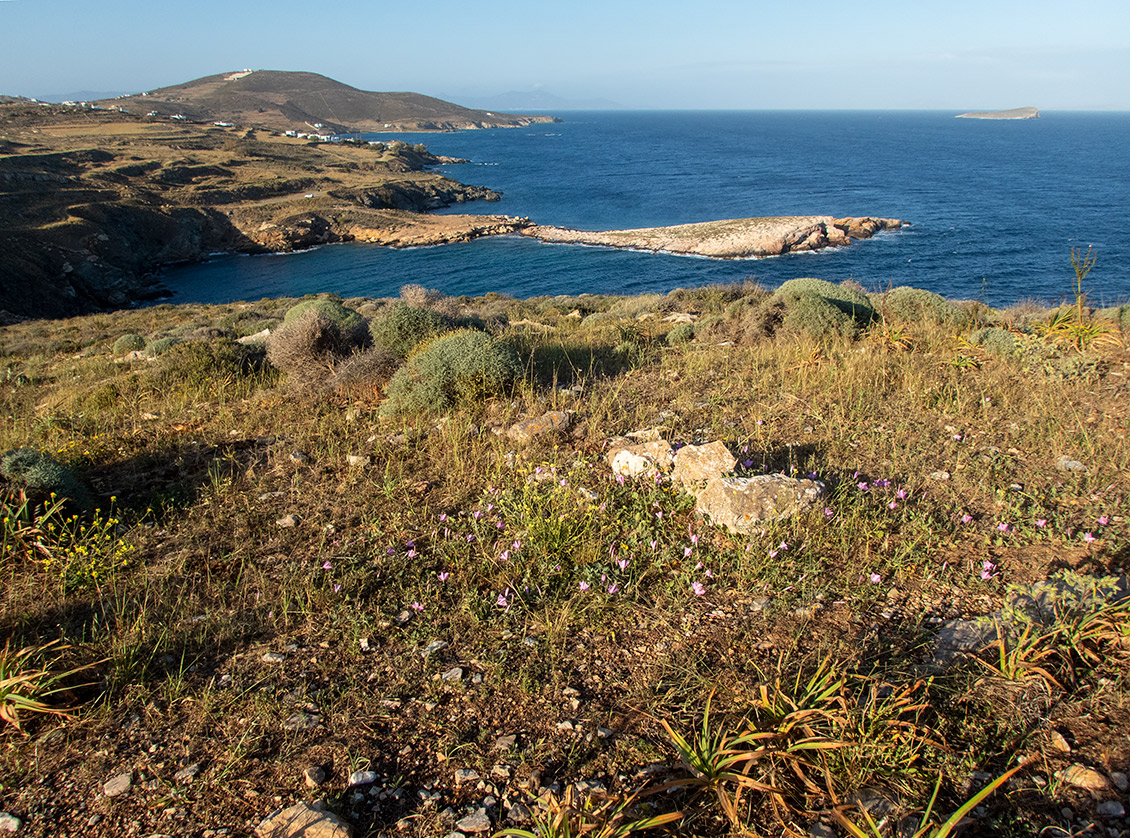 Остров Сирос, image of landscape/habitat.