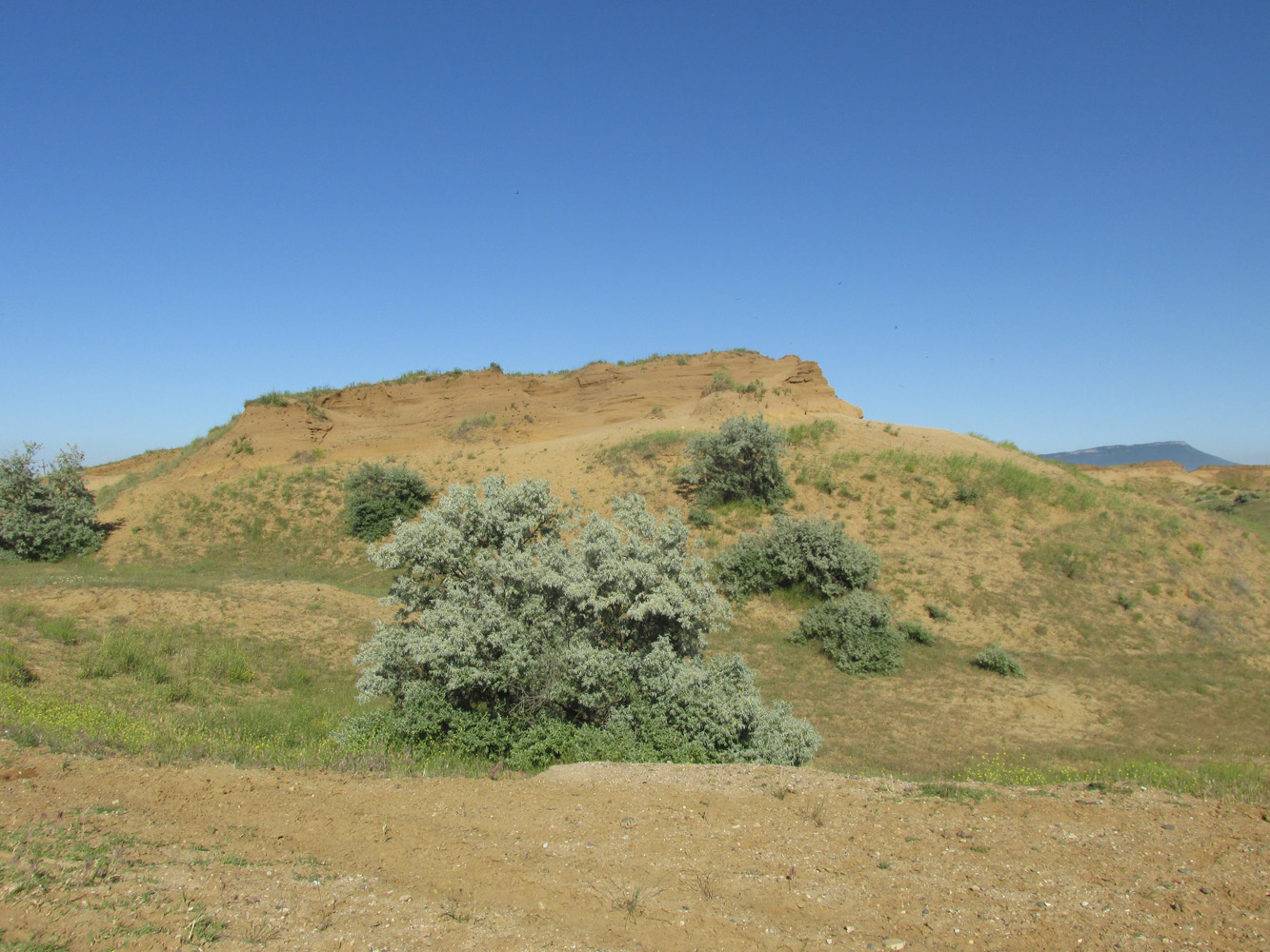 Окрестности села Коркмаскала, image of landscape/habitat.