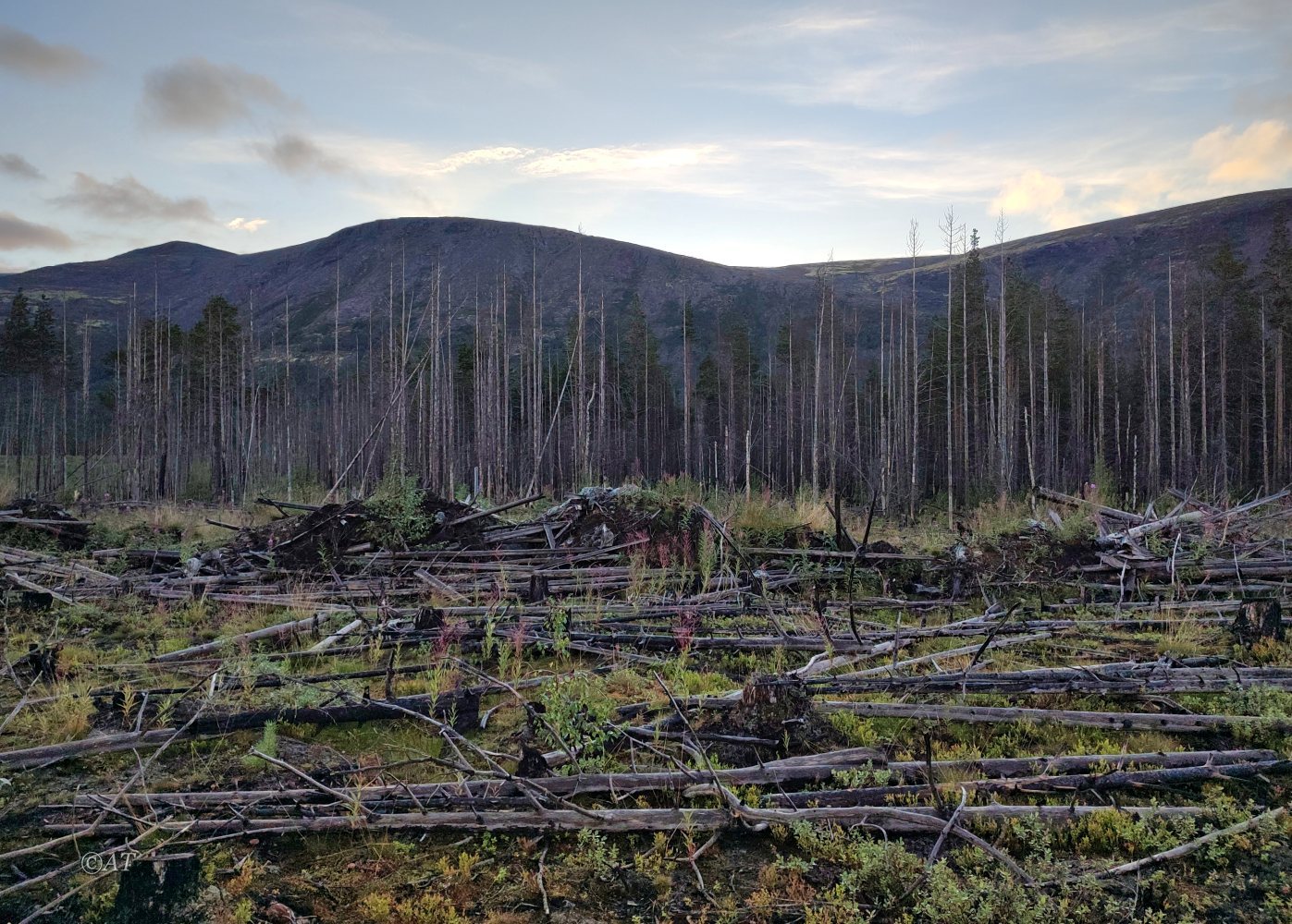 Долина реки Кунийок, image of landscape/habitat.