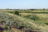 Image of landscape