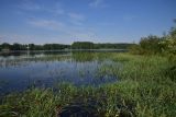 Image of landscape