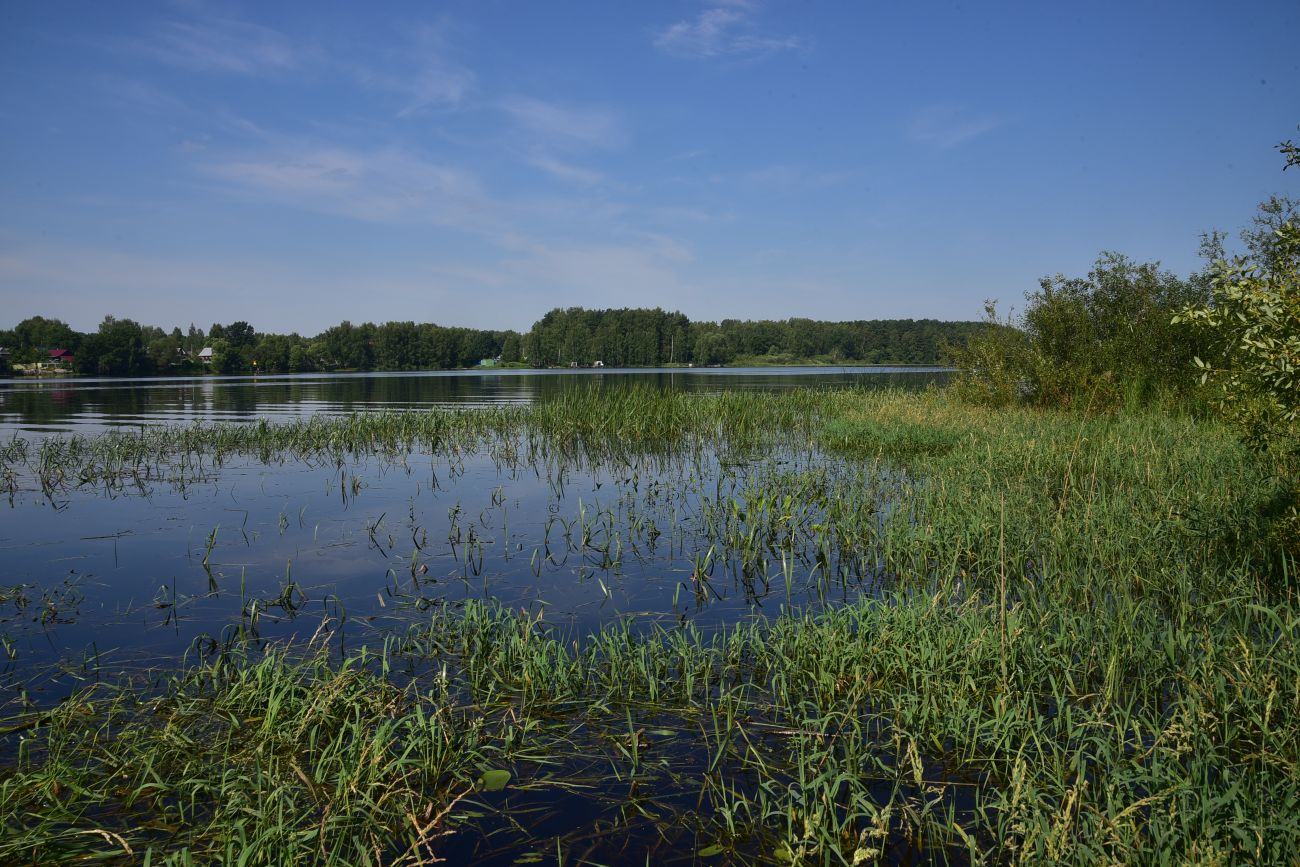 Борок и окрестности, image of landscape/habitat.