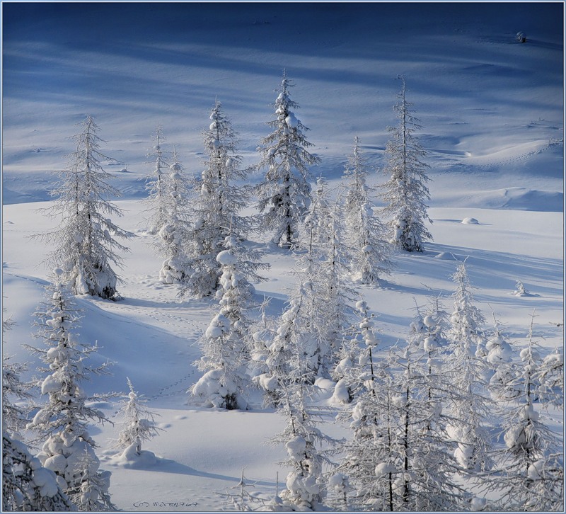 Бурхалинский перевал, image of landscape/habitat.