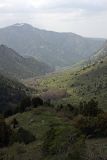 Сазаната, image of landscape/habitat.